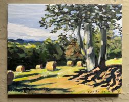 Route de Galabert, sept 23 20x30cm.jpg